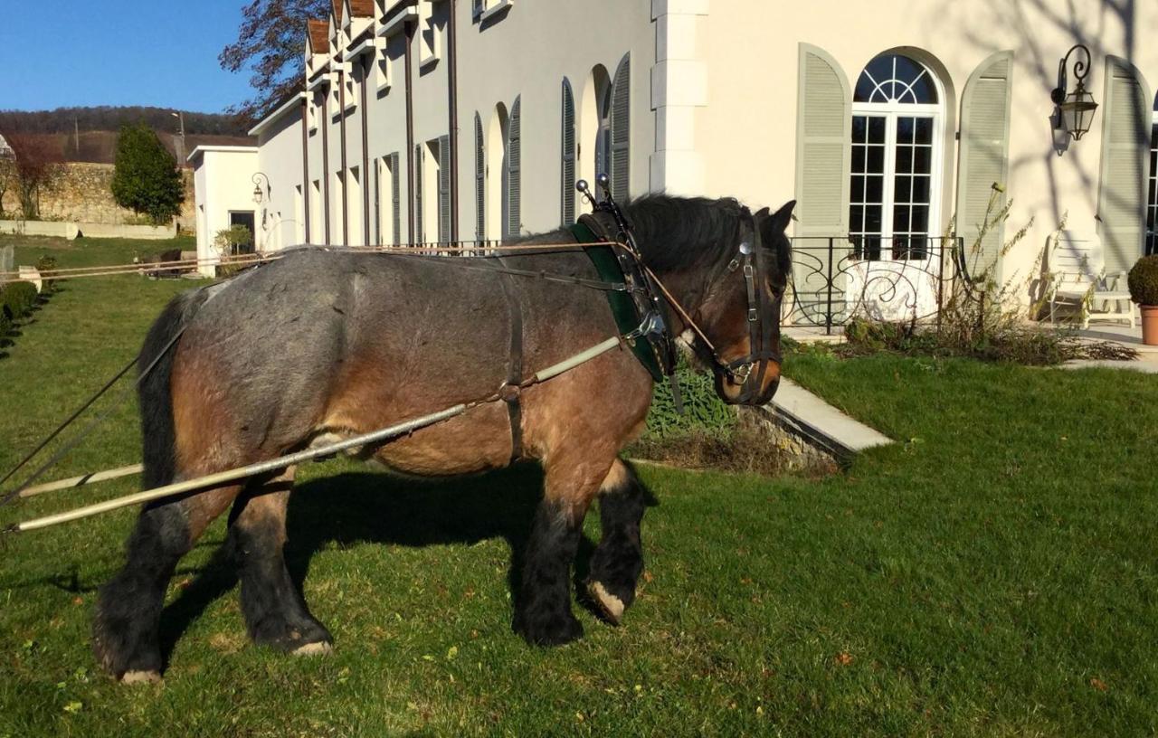 Le Clos Des Belvals Blancs-Coteaux Dış mekan fotoğraf