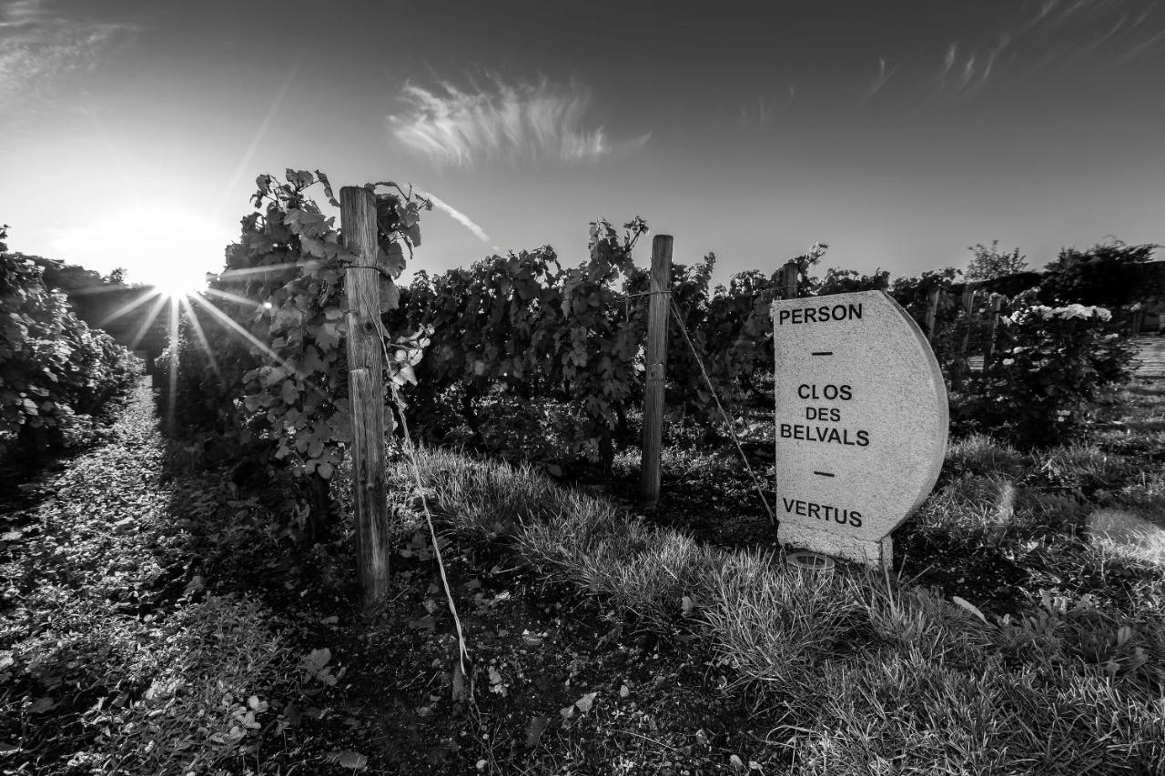 Le Clos Des Belvals Blancs-Coteaux Dış mekan fotoğraf